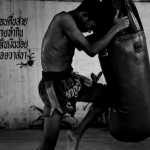 Regular hours 8-course set